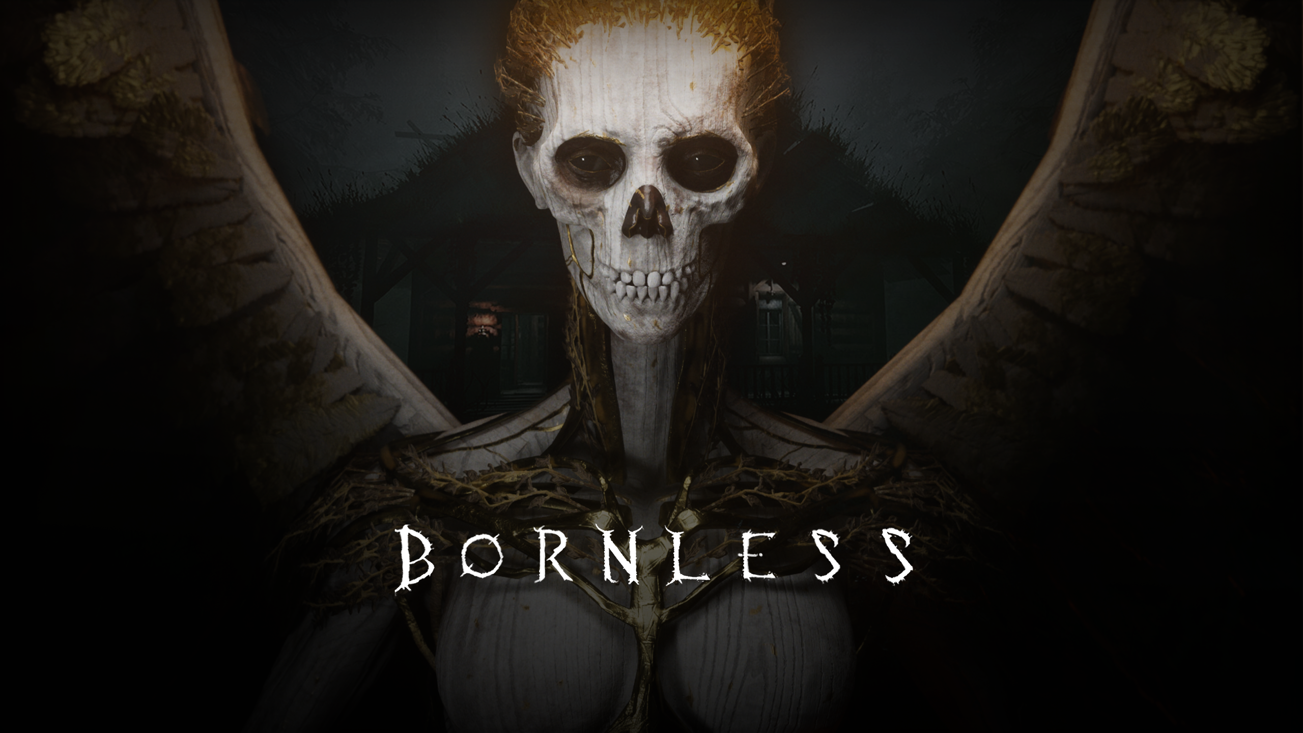 Game cover The Bornless