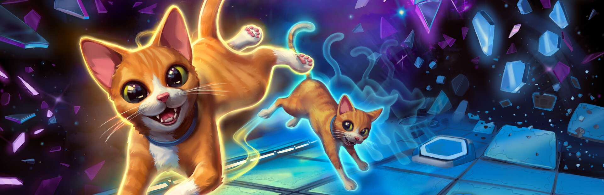 Game cover Schrodinger's Cat Burglar
