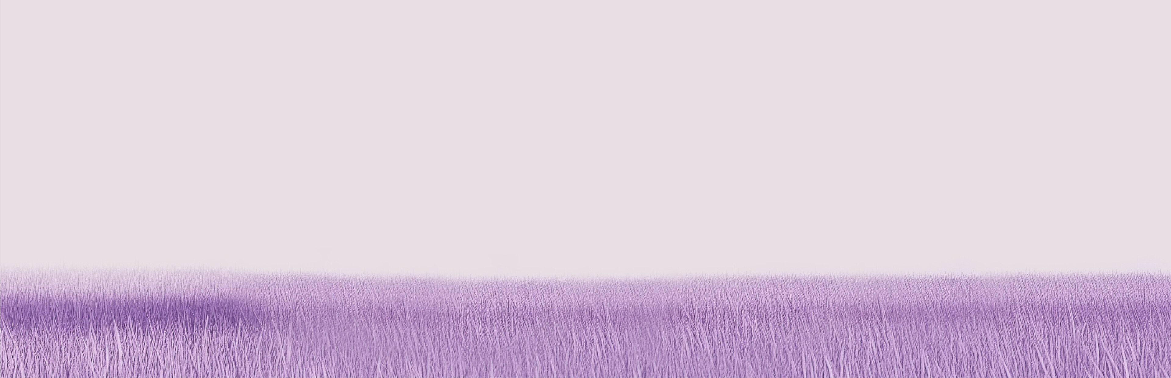 Game cover Catly