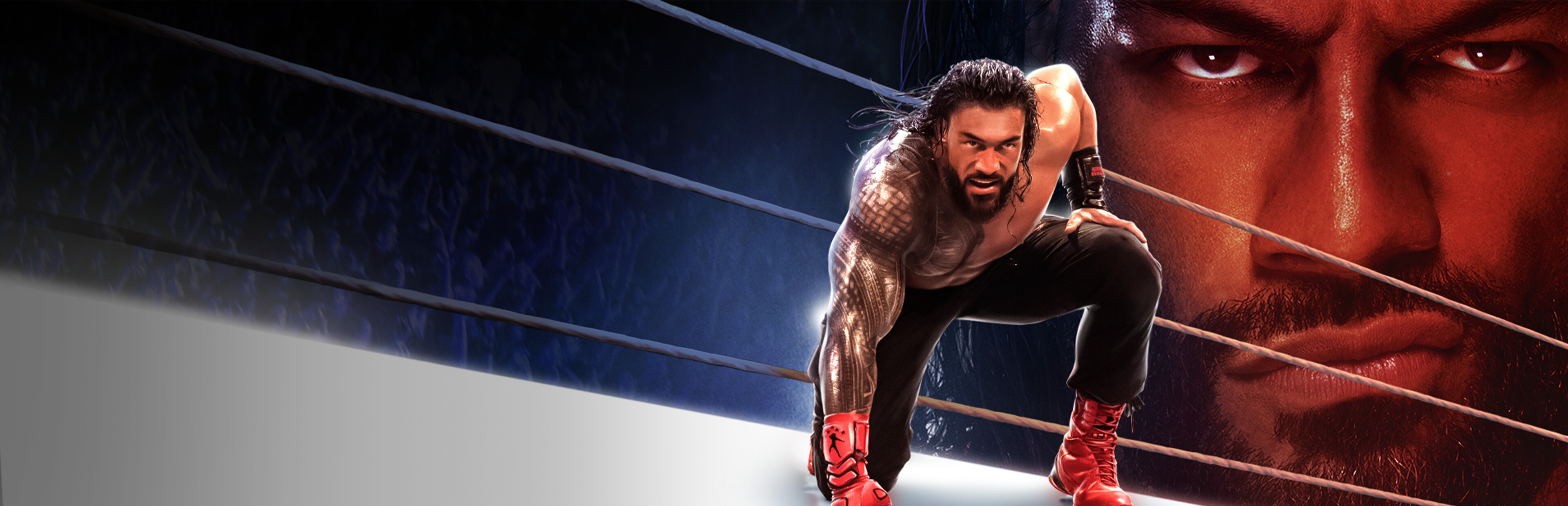 Game cover WWE 2K25