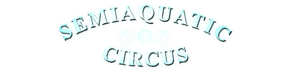 Game cover: Semiaquatic Circus