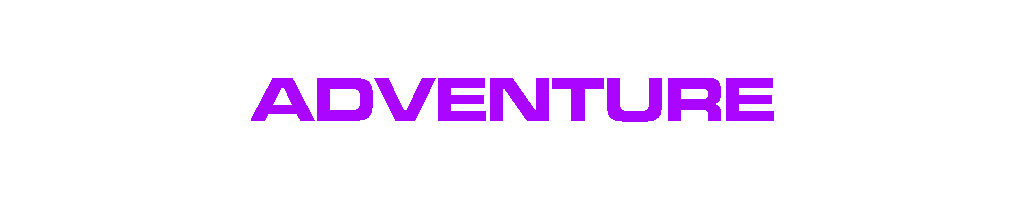 Game cover: Adventure