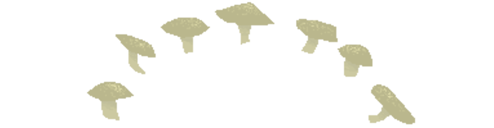 Game cover: Fungus and Delicacies