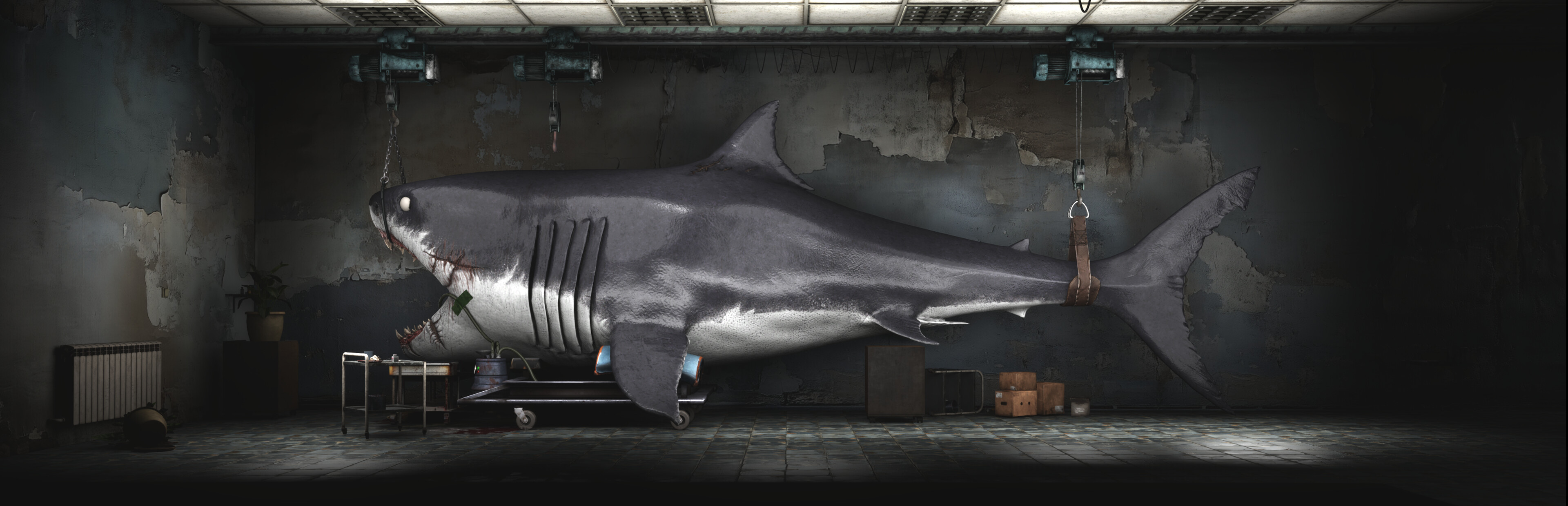 Game cover Shark Dentist