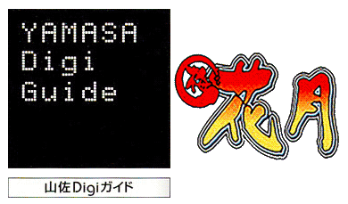 Game cover: Yamasa Digi Guide: Umekagetsu R