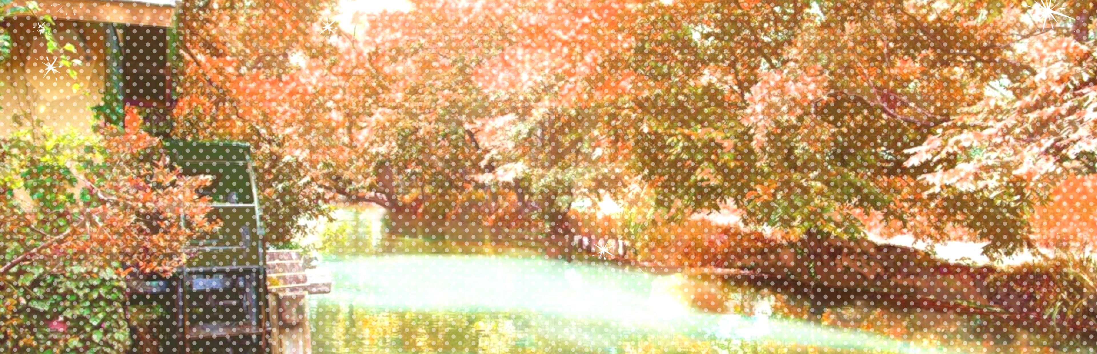 Game cover: First Steps in Learning About Pregnancy