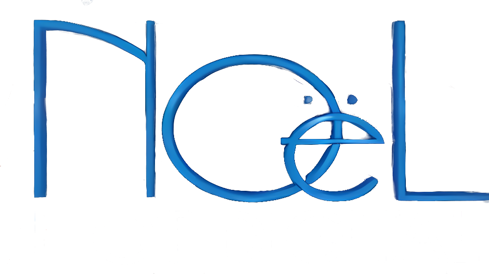 Game cover: Noel: Not Digital