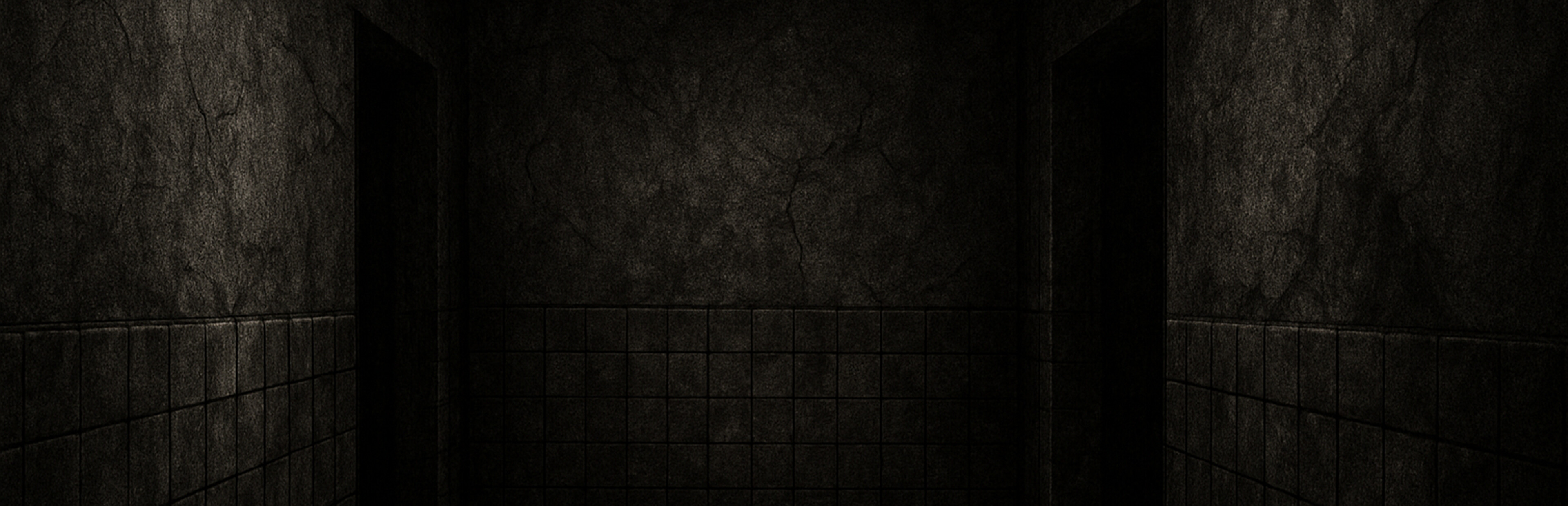 Game cover: Faint Echo