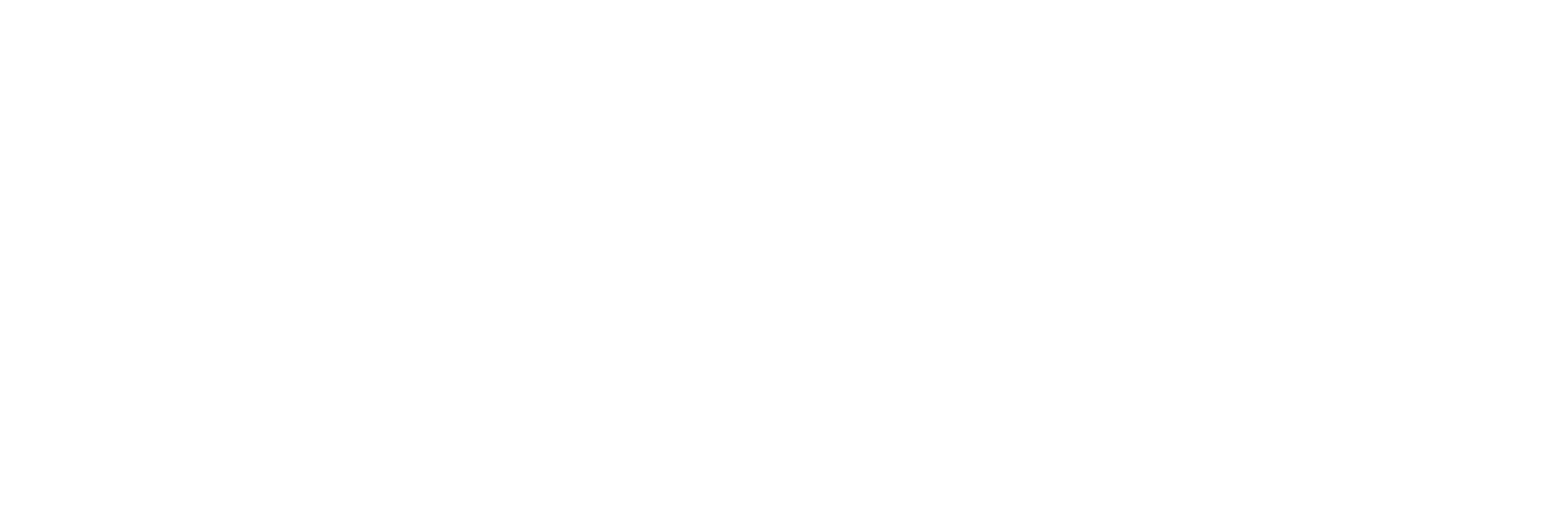 Final Fantasy IX
