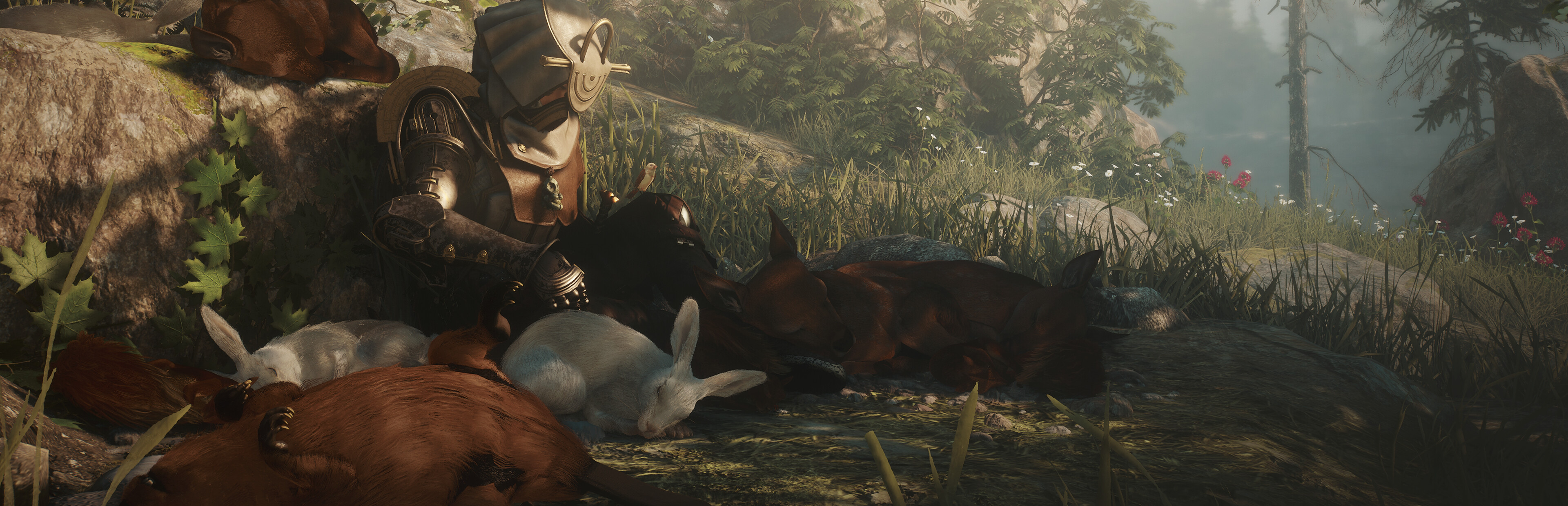 Game cover Soulframe