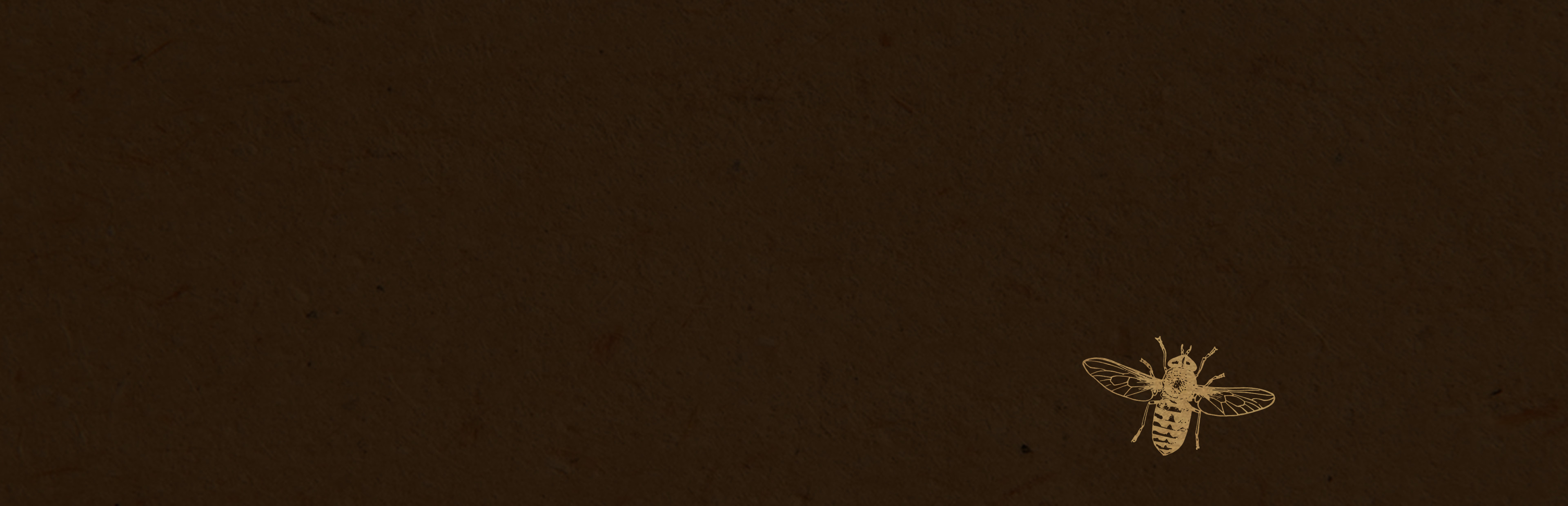 Game cover: Queen of the Flies