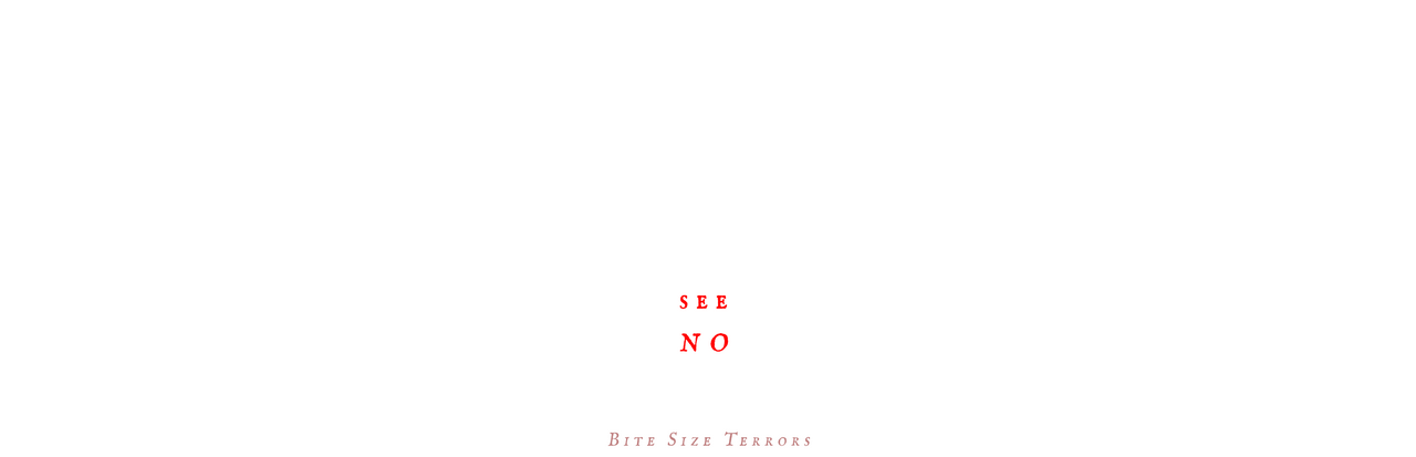 Game cover: See No Fear