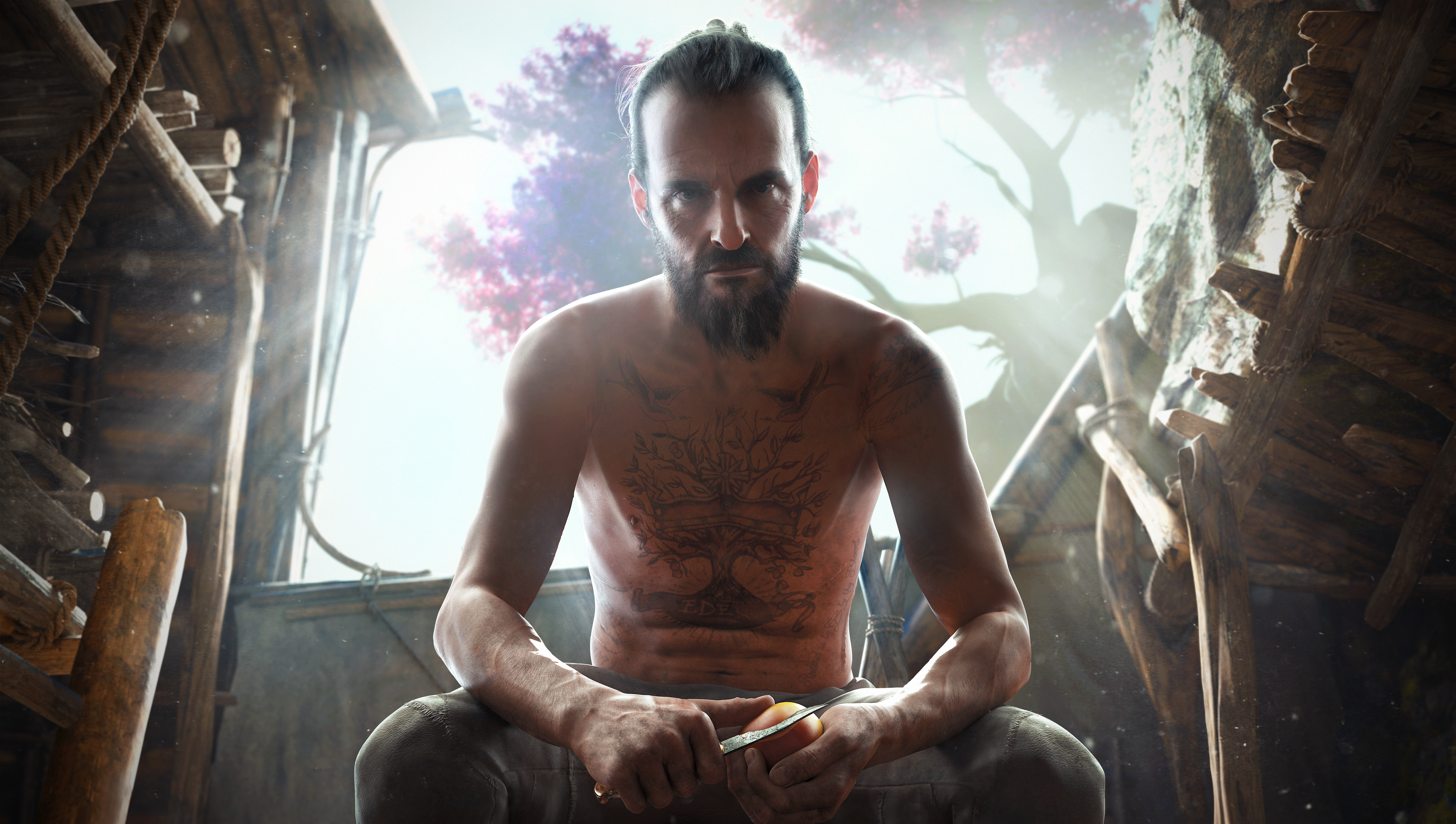 Game cover Far Cry New Dawn