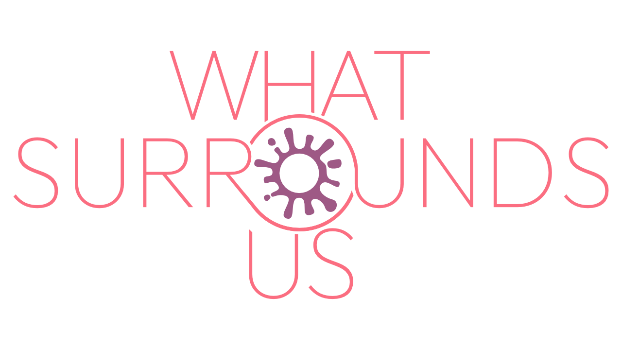 Game cover: What Surrounds Us