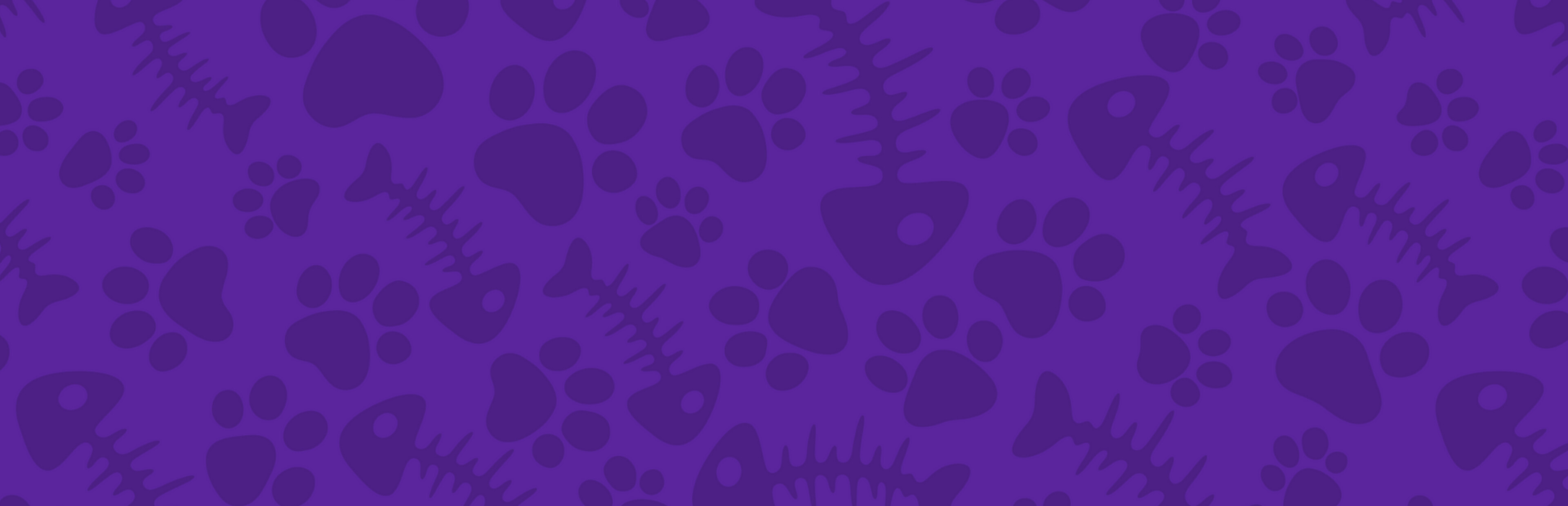 Game cover: Miautemágica