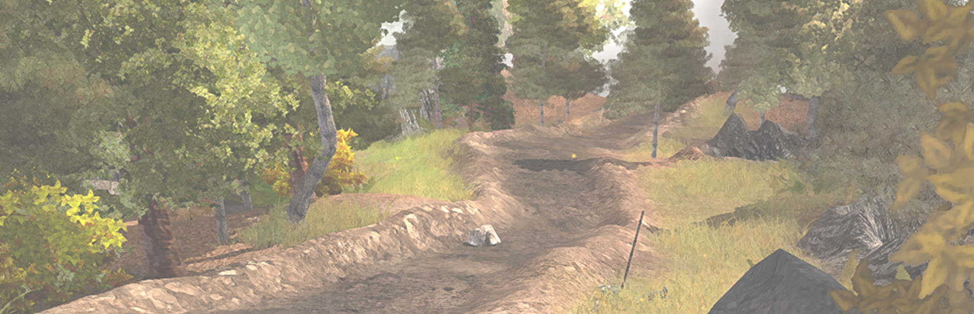 Game cover: Silverfall