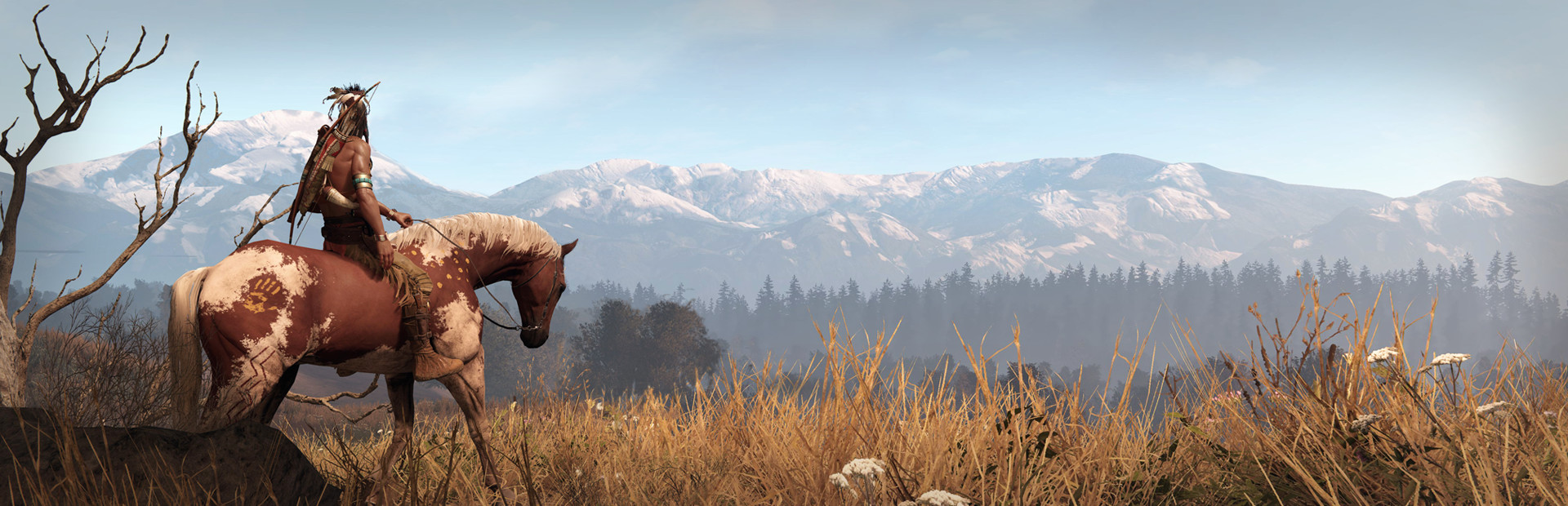 Game cover This Land Is My Land