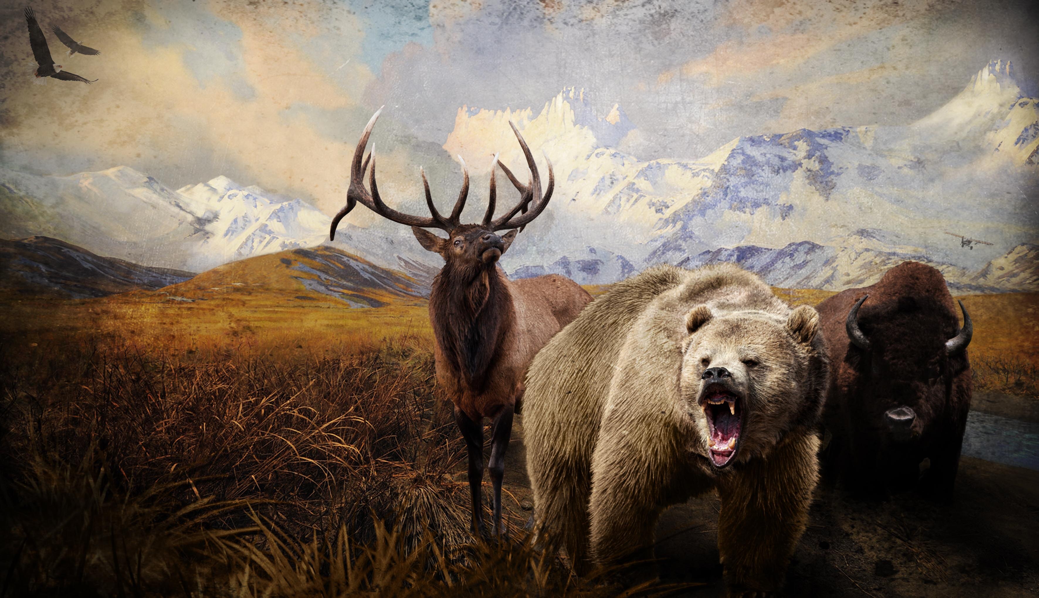 Game cover: Hunter's Trophy 2: America