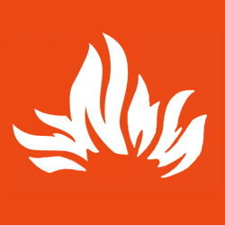 Flow Fire Games logo