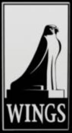 Wings Simulation GmbH logo