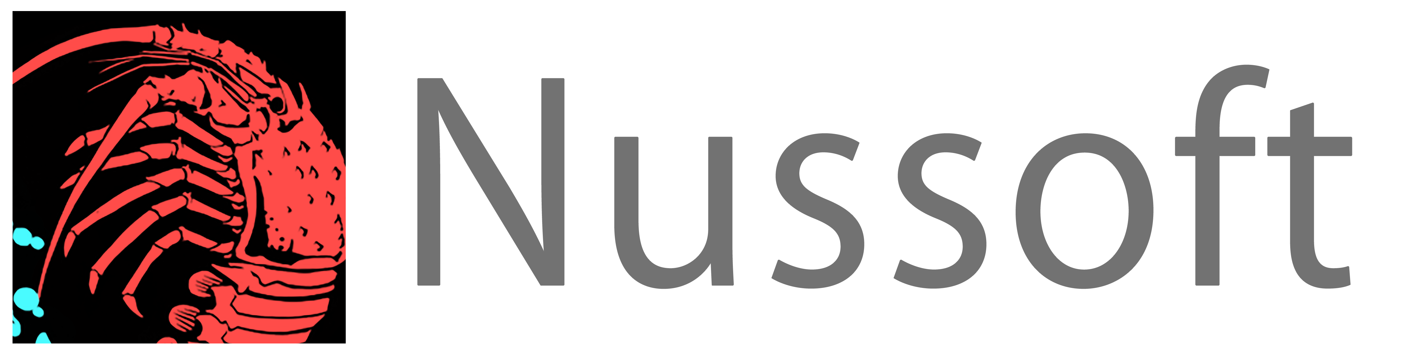 Nussoft logo