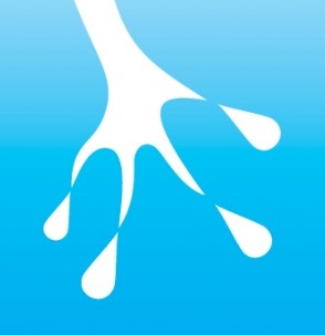 Rainy Frog logo