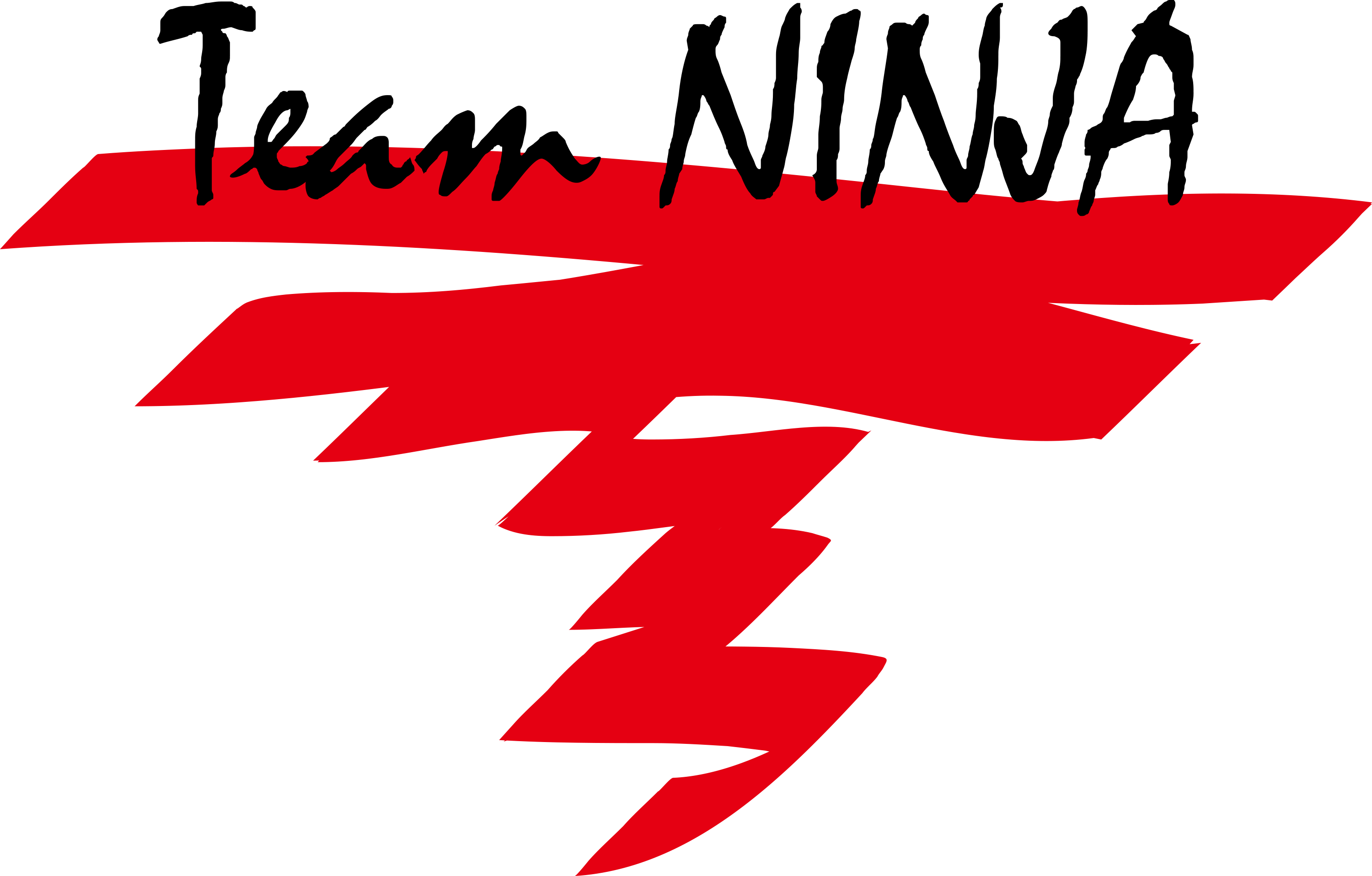 Team NINJA logo