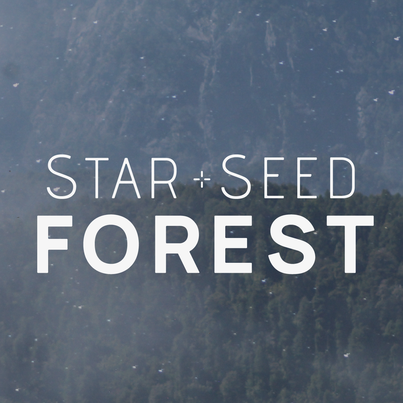 Starseed Forest 标志