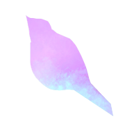 4noki logo