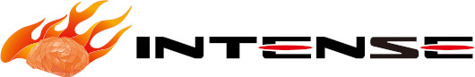 Intense Co. Ltd. logo