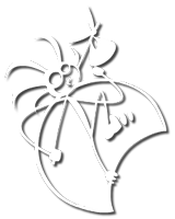 Transience logo