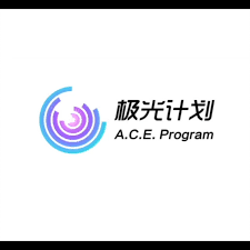 A.C.E. Program logo