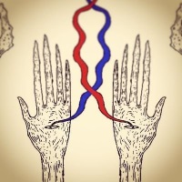 ToothandClaw logo