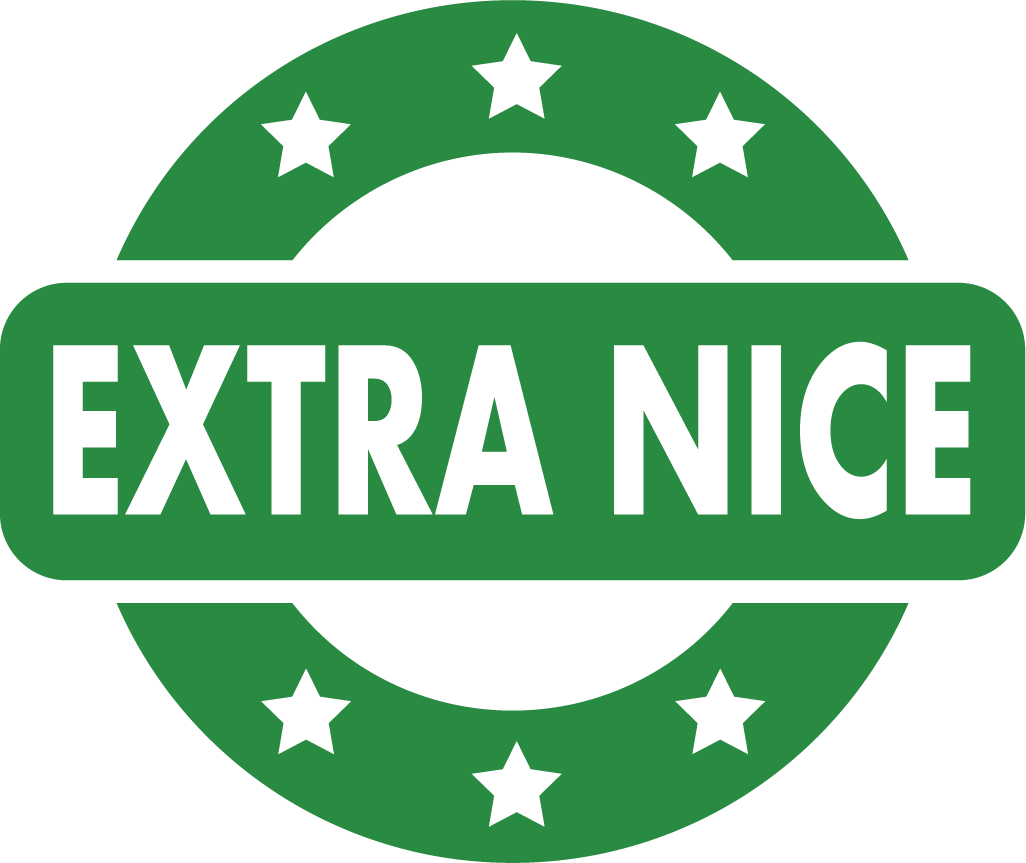 Extra Nice logo