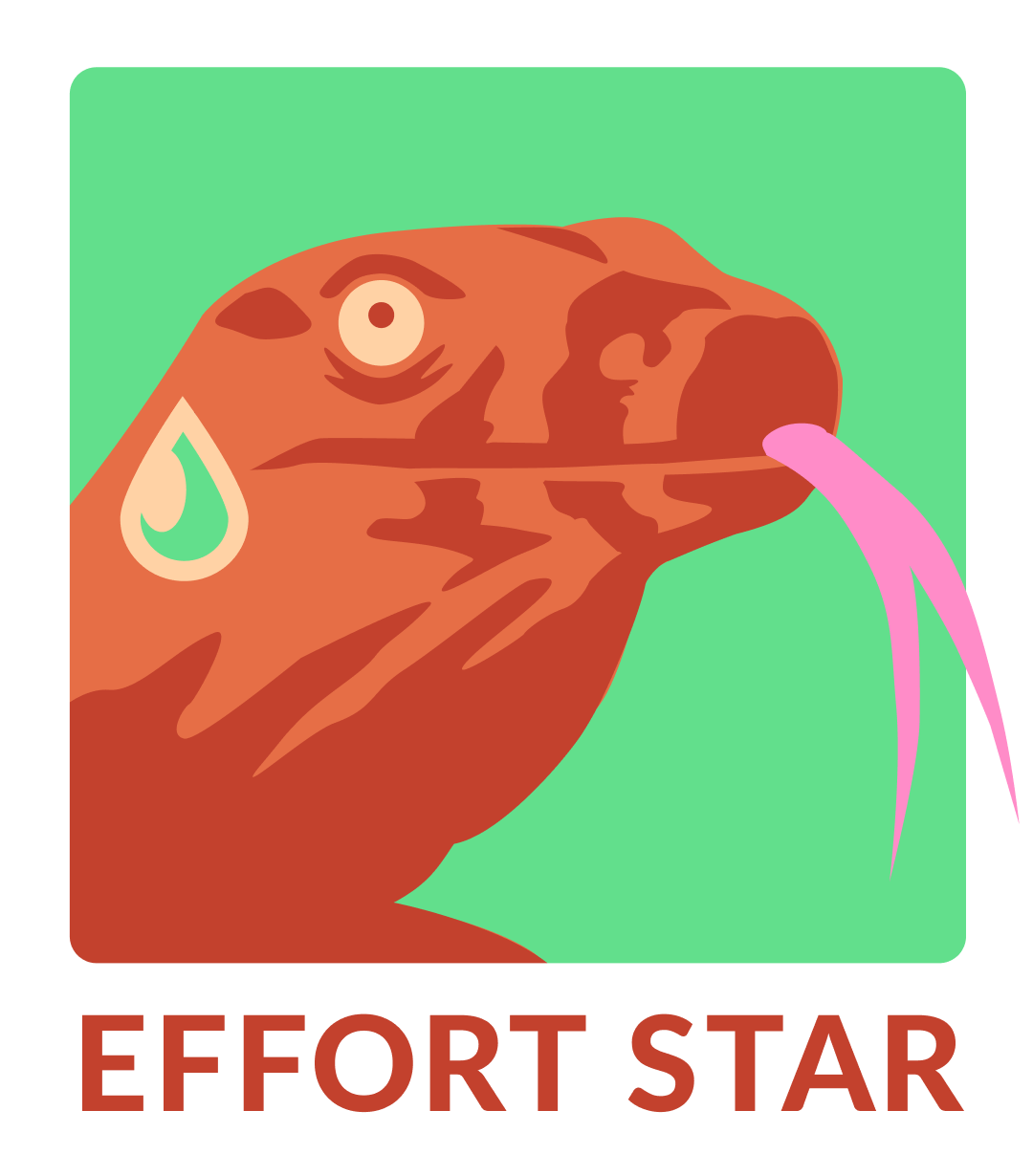 Effort Star logo