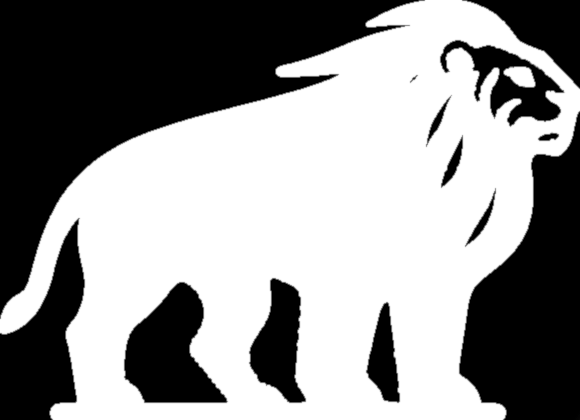 Cavelion 标志