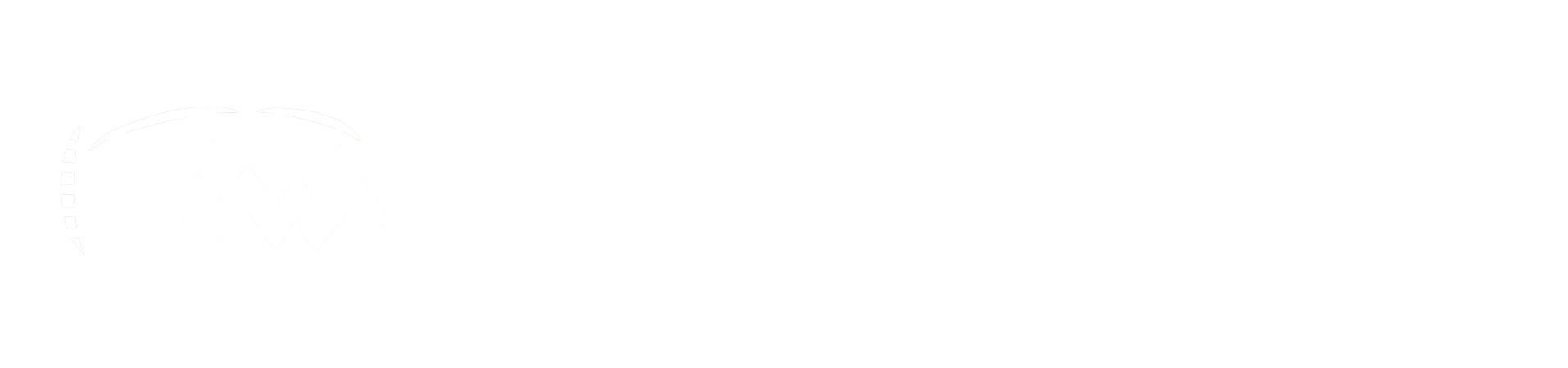 LazyFlock logo