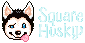 SquareHusky logo
