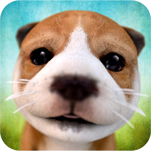 Swift Apps LLC 标志