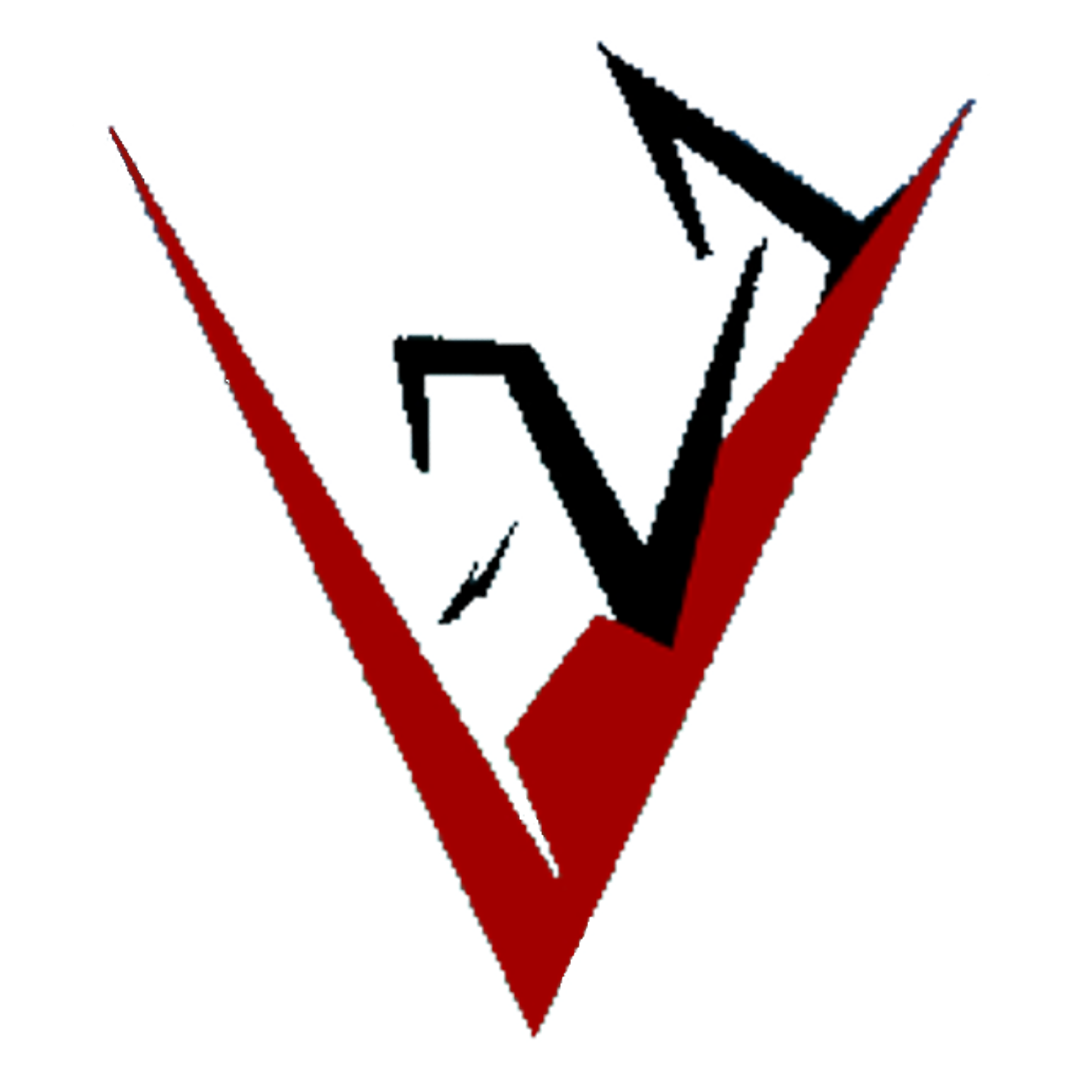 V-21 logo