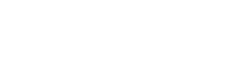 Riftweaver Game Studio 标志