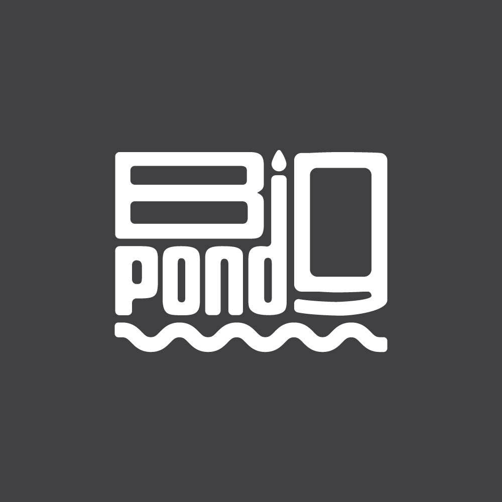 Big Pond Studio 标志
