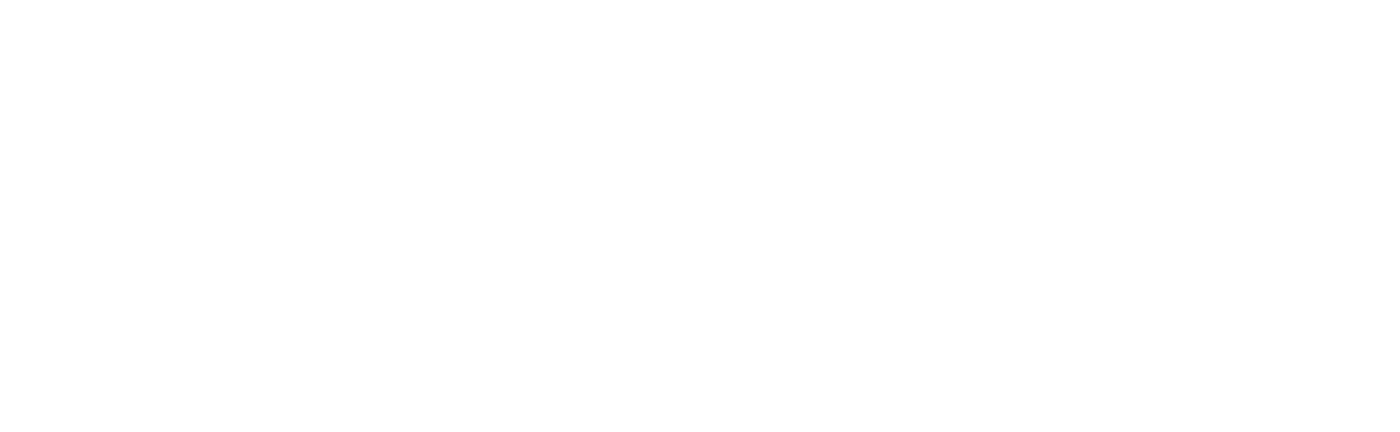 David Marquardt Studios logo