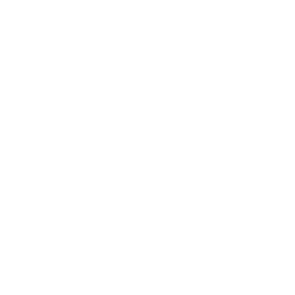 Order of Meta 标志