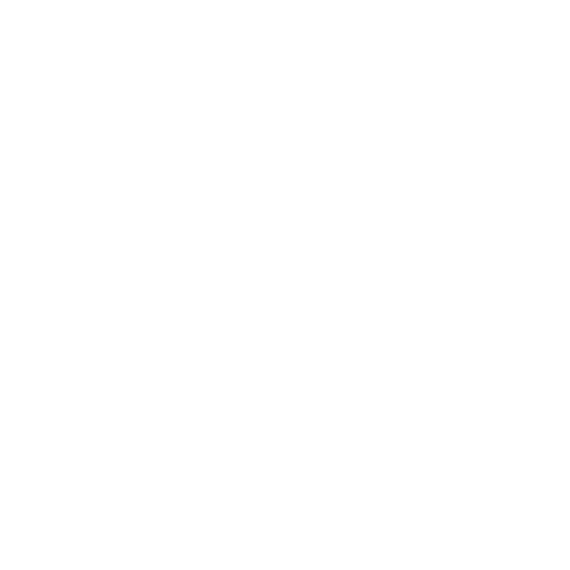 AN Productions logo
