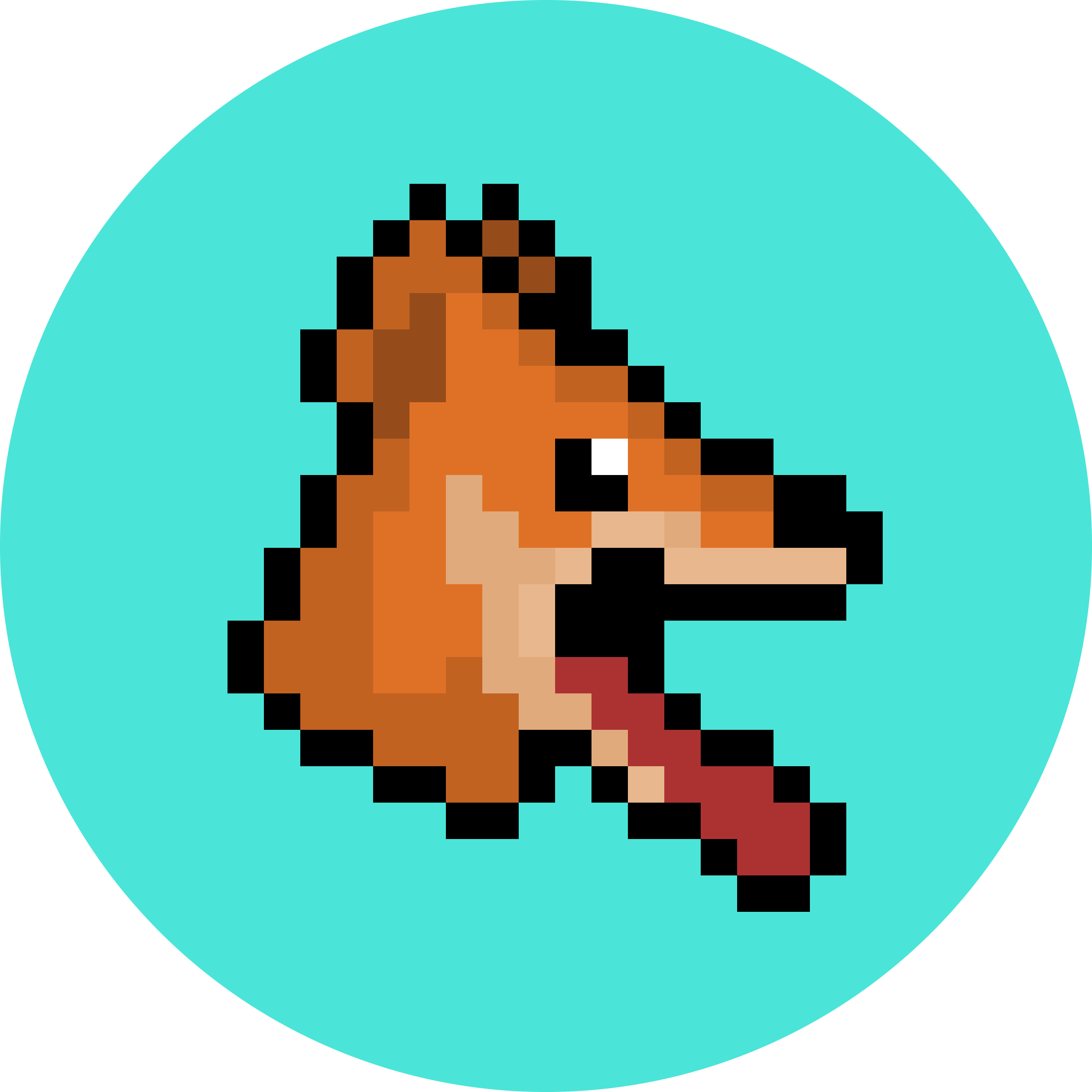 HungryDingo logo