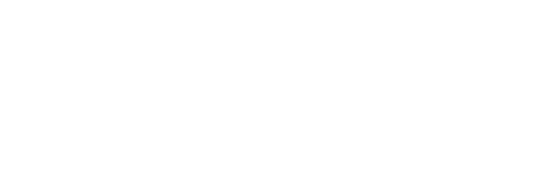 AnimicGame 标志