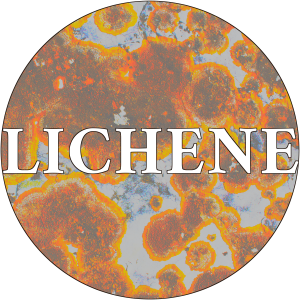 Lichene logo