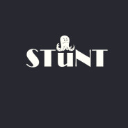 STuNT 标志