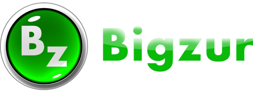 Bigzur Games 标志